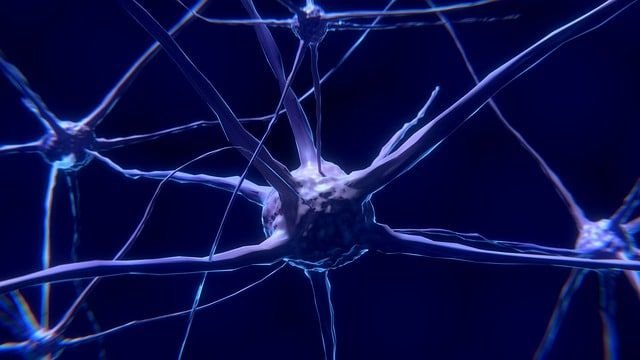Neurofeedback Testimonios
