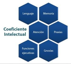 Valoración Neuropsicológica / Coeficiente Intelectual 2